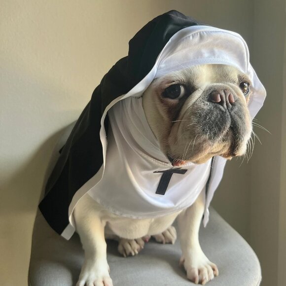 Nun Pet Costume for Holy Cats Dogs Funny Halloween Outfit - Picture 1 of 5